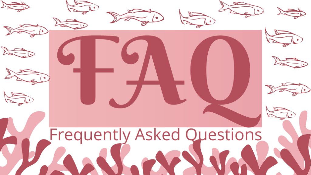 Frequently Asked Questions: What i need to know