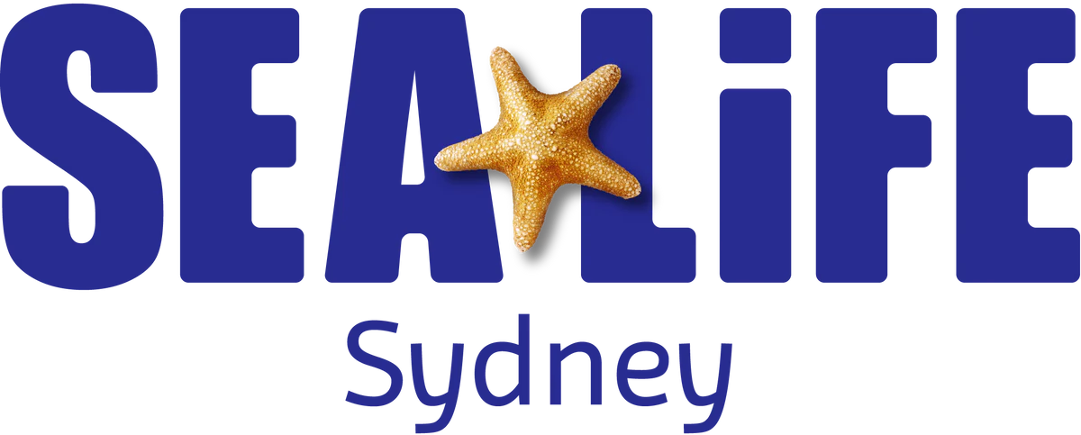 Hire A Mermaid at SEALIFE aquarium