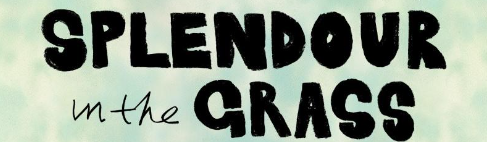 Mermaids at splendour in the grass music festival